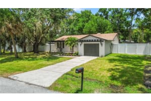 3818 MERIDEAN PLACE, LAND O LAKES, FL 34639 - MLS#MFRTB8410036