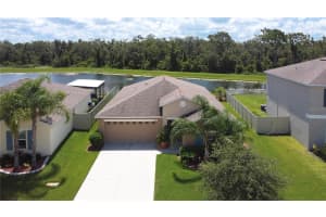 17218 WHITE MANGROVE DRIVE, WIMAUMA, FL 33598 - MLS#MFRTB8410037
