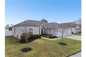 3552 GRAND FORKS DRIVE, LAND O LAKES, FL 34639 - MLS#MFRTB8410040