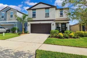 10345 SHADY PRESERVE DRIVE, RIVERVIEW, FL 33578 - MLS#MFRTB8410044