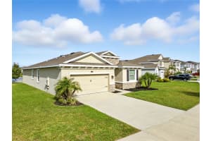 8674 BOWER BASS CIRCLE, WESLEY CHAPEL, FL 33545 - MLS#MFRTB8410057