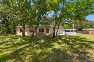 26831 Chianina Dr, WESLEY CHAPEL