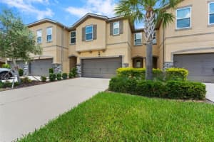 10230 NEWEL VALLEY LOOP, RIVERVIEW, FL 33569 - MLS#MFRTB8410078