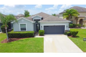 18755 BURNDALL COURT, LAND O LAKES, FL 34638 Sold 09/12/25