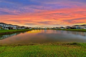 33928 FIELD MAPLE LOOP, WESLEY CHAPEL, FL 33545 Sold 10/06/25