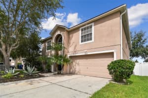 3142 BELLERICAY LANE, LAND O LAKES, FL 34638 - MLS#MFRTB8410116