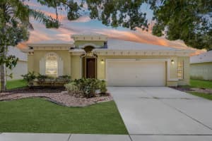 4515 Fieldview Cir, WESLEY CHAPEL