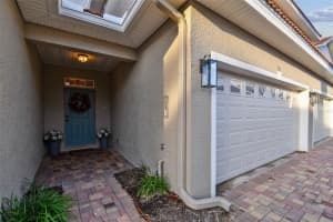 933 MOSCATO PL, PALM HARBOR, FL 34683 - MLS#MFRTB8410135