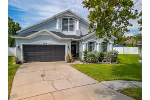 6928 Bluff Meadow Ct, WESLEY CHAPEL