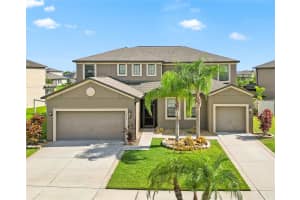 5030 Ivory Stone Dr, WIMAUMA