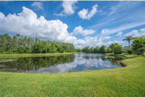 19443 Everton Pl, LAND O LAKES