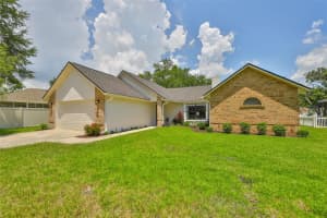 7411 MINT JULEP DRIVE, RIVERVIEW, FL 33578 - MLS#MFRTB8410212