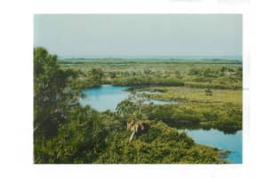 4218 RUDDER WAY, NEW PORT RICHEY, FL 34652 - MLS#MFRTB8410215