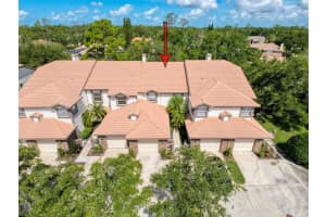 1292 Clays Trl, OLDSMAR