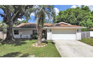 3366 Fox Hill Dr, CLEARWATER