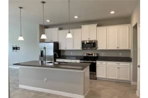 18861 NOBLE CASPIAN DRIVE, LUTZ, FL 33558 - MLS#MFRTB8410234