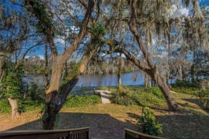 6040 RIVER TRACE ROAD, TAMPA, FL 33617 - MLS#MFRTB8410278