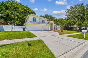 10320 ASHLEY OAKS DRIVE, RIVERVIEW, FL 33578 - MLS#MFRTB8410279