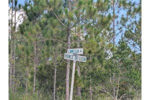 401 CAMELLIA DRIVE, INDIAN LAKE ESTATES, FL 33855 - MLS#MFRTB8410291