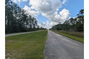 401 CAMELLIA DRIVE, INDIAN LAKE ESTATES, FL 33855 - MLS#MFRTB8410291