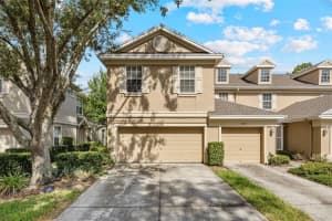 4140 Bismarck Palm Dr, TAMPA