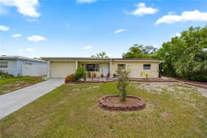 10226 N Valle Dr, TAMPA