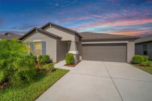 7128 Samuel Ivy Dr, TAMPA