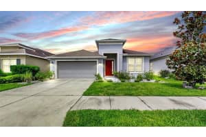17523 Buckingham Garden Dr, LITHIA
