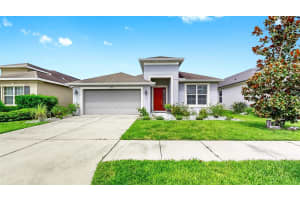 17523 BUCKINGHAM GARDEN DRIVE, LITHIA, FL 33547 Sold 09/24/25