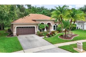 6125 SAVOY CIRCLE, LUTZ, FL 33558 - MLS#MFRTB8410439