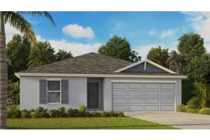 3078 Pink Gerbera Sq, PLANT CITY