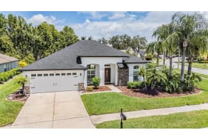 1519 FLATWOOD COURT, TRINITY, FL 34655 - MLS#MFRTB8410452