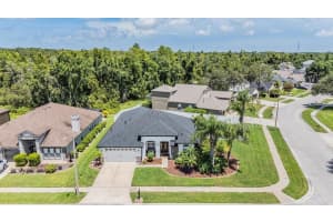 1519 FLATWOOD COURT, TRINITY, FL 34655 - MLS#MFRTB8410452