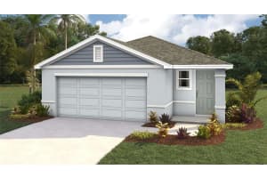 3069 Pink Gerbera Sq, PLANT CITY
