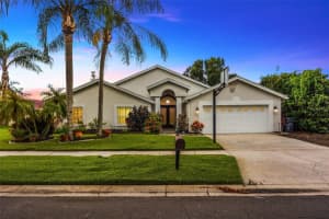 3238 Cullendale Dr, TAMPA