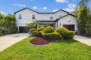3809 Tristram Loop, LAND O LAKES
