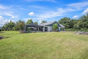 3612 BLOSSOM COUNTRY TRAIL, PLANT CITY, FL 33567 - MLS#MFRTB8410494