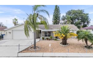 6905 El Camino Paloma St, PORT RICHEY