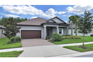 10930 Banyan Breeze Blvd, LAND O LAKES