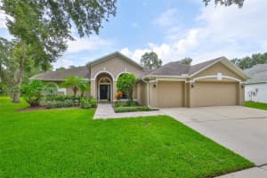 8613 Herons Cove Pl, TAMPA