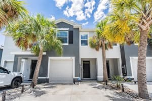 3122 Pleasant Willow Ct, BRANDON