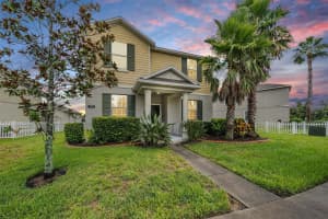 8600 SAVORY WALK DRIVE, LAND O LAKES, FL 34637 - MLS#MFRTB8410576