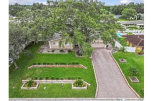 1165 NELSON STREET, DUNEDIN, FL 34698 - MLS#MFRTB8410603