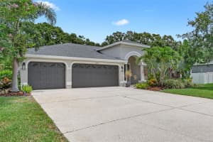 16511 Turnbury Oak Dr, ODESSA