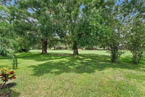 16511 TURNBURY OAK DRIVE, ODESSA, FL 33556 - MLS#MFRTB8410618