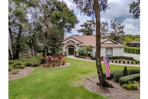 6012 Hammock Hill Ave, LITHIA