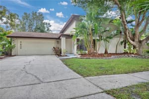 4604 Buckeye Rd, TAMPA