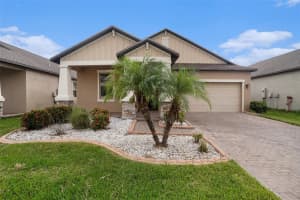 13224 Satin Lily Dr, RIVERVIEW