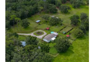 13350 OLOFIN WAY, DADE CITY, FL 33525 - MLS#MFRTB8410646
