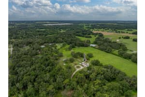 13350 OLOFIN WAY, DADE CITY, FL 33525 - MLS#MFRTB8410646